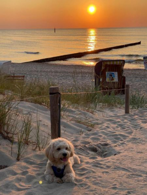 Residenz Lausitz - Apartments für Urlaub mit Hund